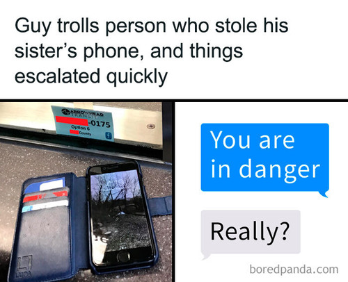 stolen iphone trolled thief thelowflyingowl.jpg