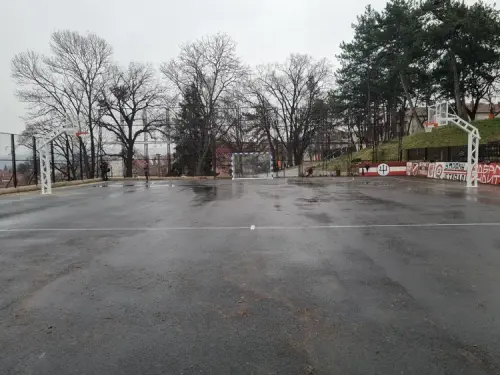 main webp auto generated 4.webp