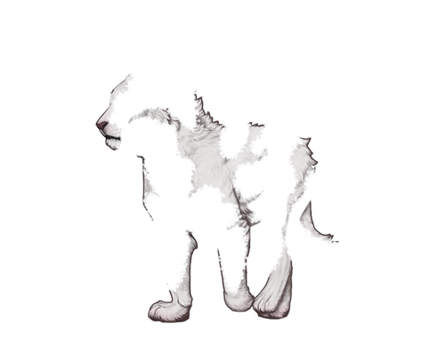 Tovero Mng teen.png