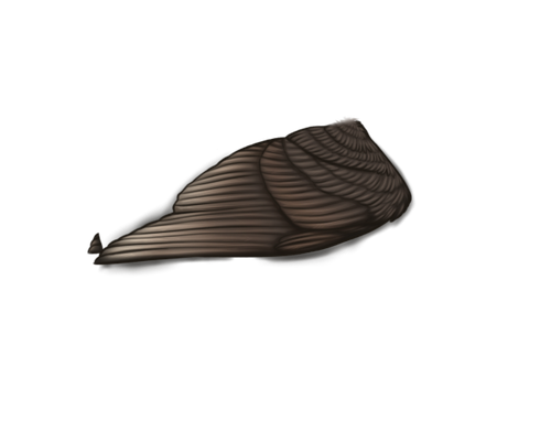 MngWings madagascar female.png