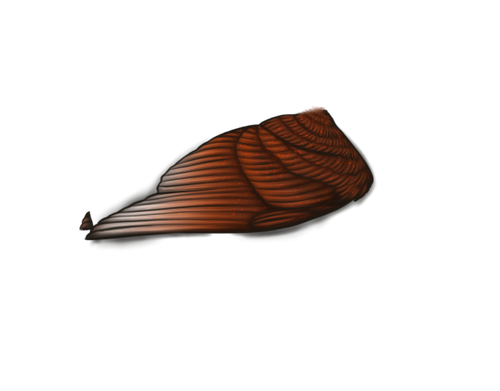 MngWings brimstone female.png