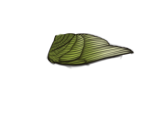 MngWings senegal male.png
