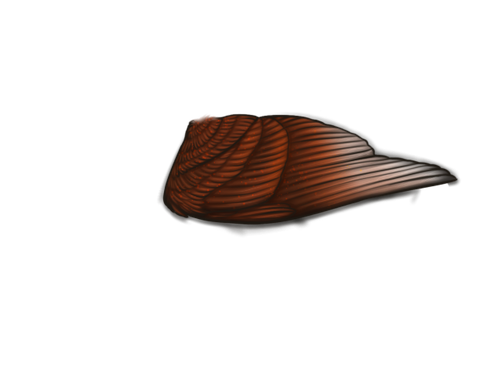MngWings brimstone male.png