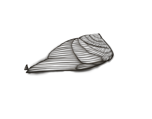 MngWings whitel female.png