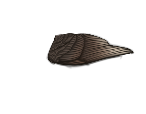 MngWings madagascar male.png