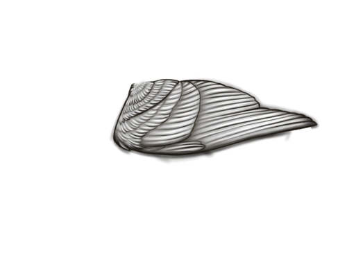 MngWings whitel male.png