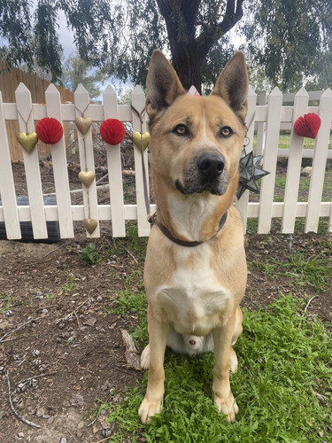 G cVMoIWQAAJXeP?format=jpg.jpg