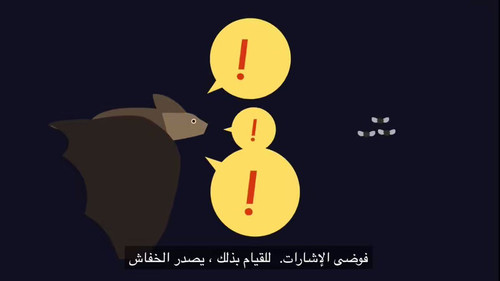 8KuivFn9OJoRM7sK.jpg