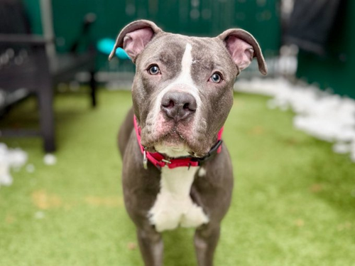 G EWiYOXoAACeFW?format=png.png