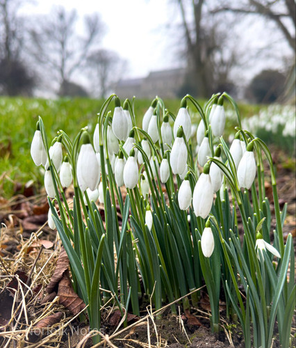 G lugXSXAAAm3li?format=jpg.jpg