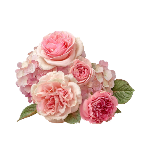 Girl and Kitty (229).png