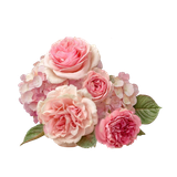 Girl and Kitty (229)