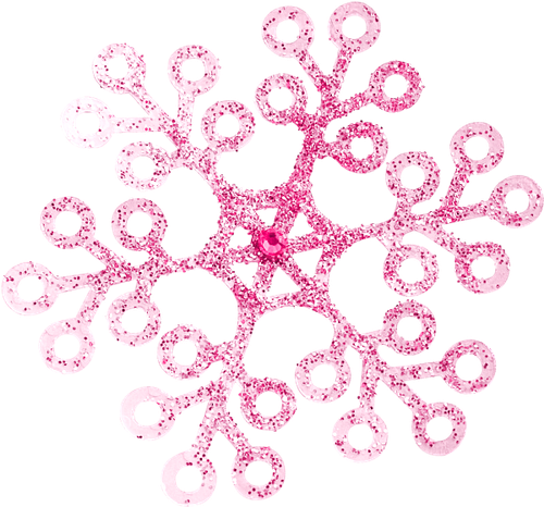 Girl and Kitty (22).png