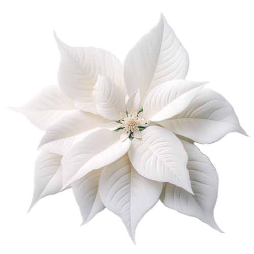 Girl and Kitty (45).png