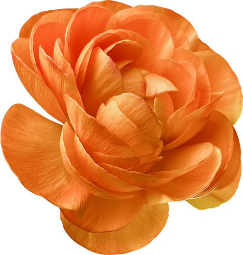 OTAM Element (136).png