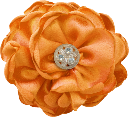 OTAM Element (139).png