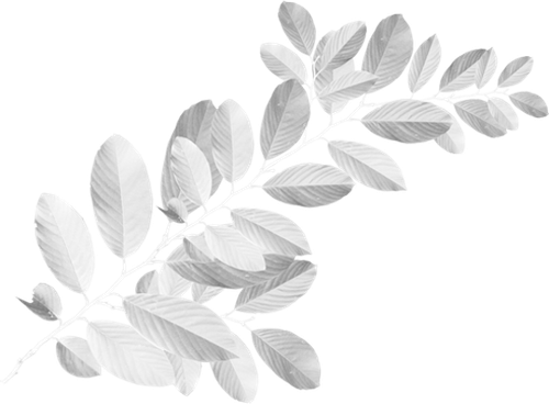 OTAM Element (157).png