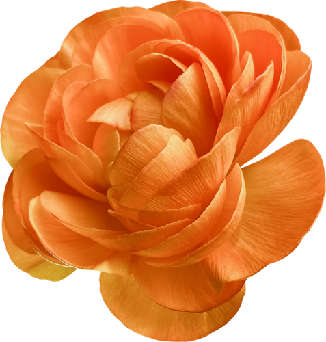 OTAM Element (149).png