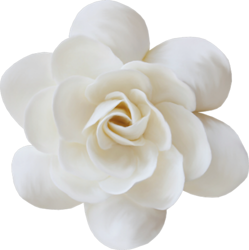 OTAM Element (145).png