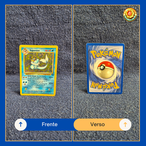 02fc066d c53e 4f77 abad dccce96997d9.png