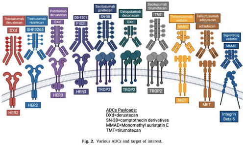 G kb2ZzXEAACWRZ?format=jpg.jpg