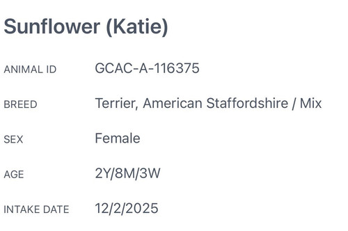 G9 AEU3WQAANARr?format=jpg.jpg