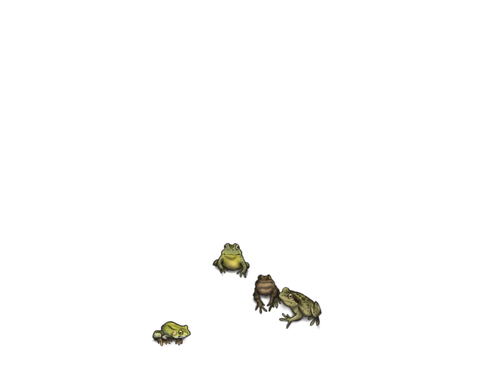 FrogFreinds Full.png