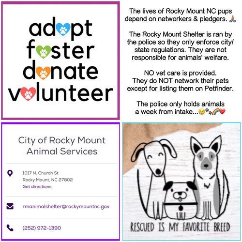 G 4nPgFXgAEFiba?format=jpg.jpg