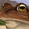 FrogBlocked Icon.png