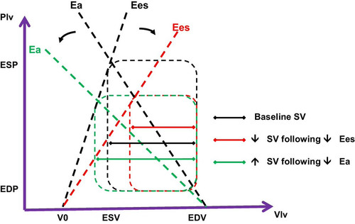 G VTMeiXUAAQSQh?format=jpg.jpg