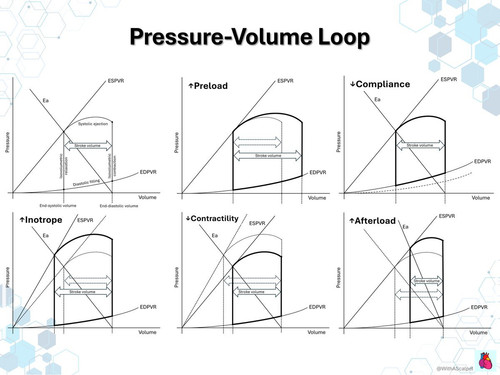 G jNQ6pWAAA9kIa?format=jpg.jpg