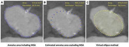 G bU5 CWEAA1zo6?format=jpg.jpg