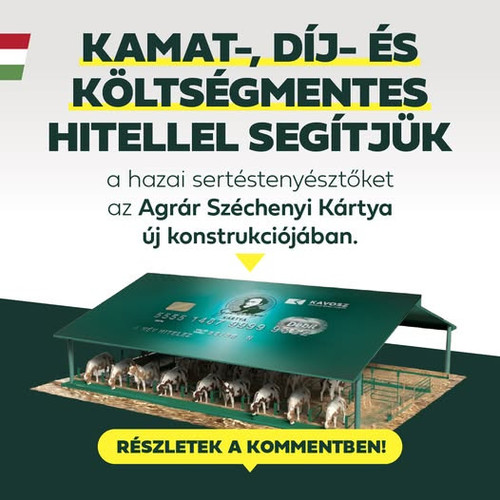 617086051 1226319029671300 4354093233877562830 n.jpg?stp=dst jpg p526x296 tt6& nc cat=106&ccb=1 7& n.jpg