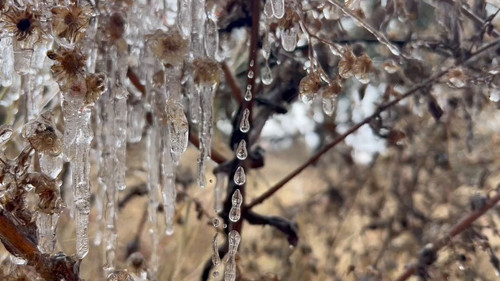 T 0CUWxKOS3gIVq3.jpg