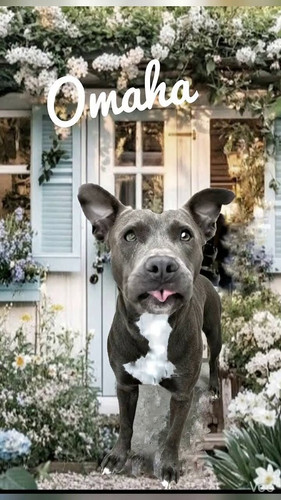 wJdIkYL3d3RU 2A7.jpg