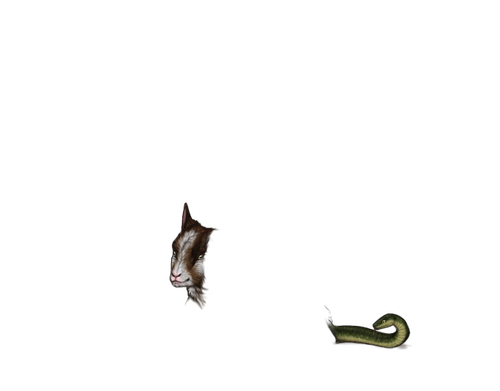 ChimeraMorph Full.png