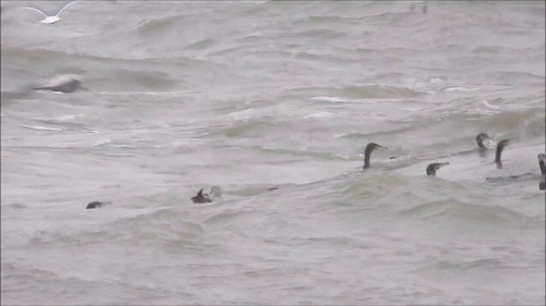 J HrdPe ejDJhOck.jpg