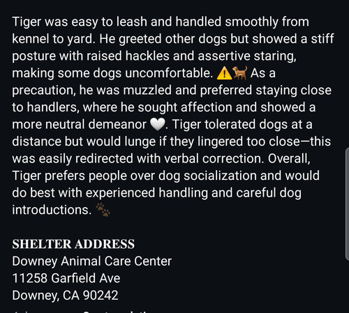 G dGMZcXMAAcKJ ?format=jpg.jpg