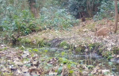 tZl1 ur DVW0AsGe.jpg