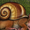 SnailShell Icon.png