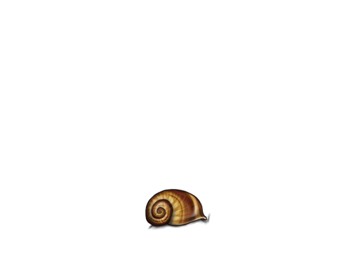 SnailShell Full.png