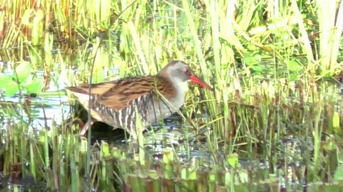 41hywOC70 AB6SOi.jpg