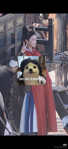 Camera XHS 17694083361551040g2sg31romkrtrimh05paabdg0rvmc3ae3m1g.jpg