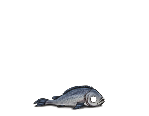 Fish Silver Full.png