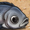 Fish Silver Icon.png