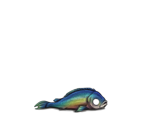 Fish Rainbow Full.png
