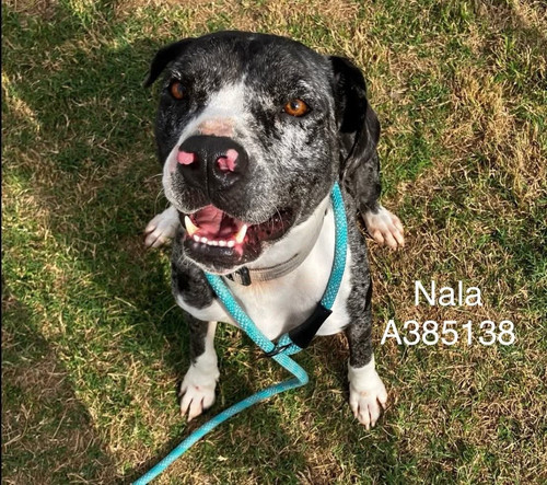 G g4o 3XcAAY Rw?format=jpg.jpg