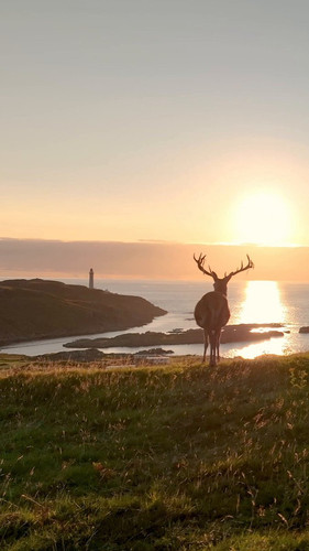 ZUb6lseNEauUiWI .jpg