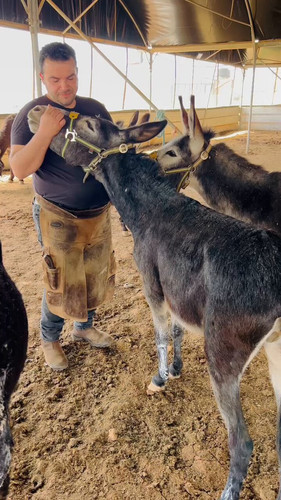 kLBDYwFh3MOylas .jpg