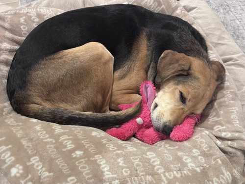 G jC4SAXAAALkSe?format=jpg.jpg